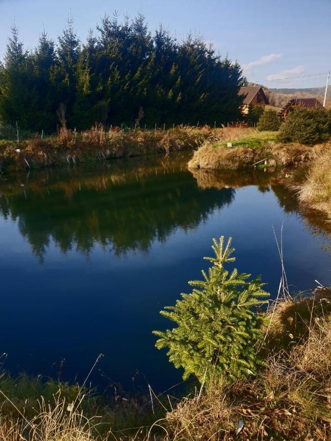 لوبافكا Agroturystyka Swierki المظهر الخارجي الصورة